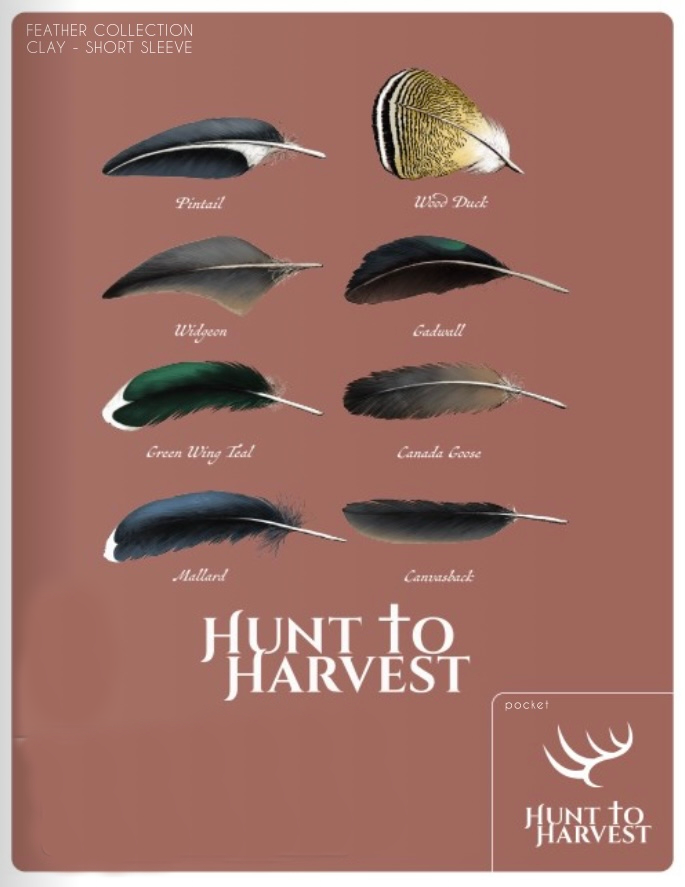 Short Sleeve Feather Collection-
Alloy or Clay