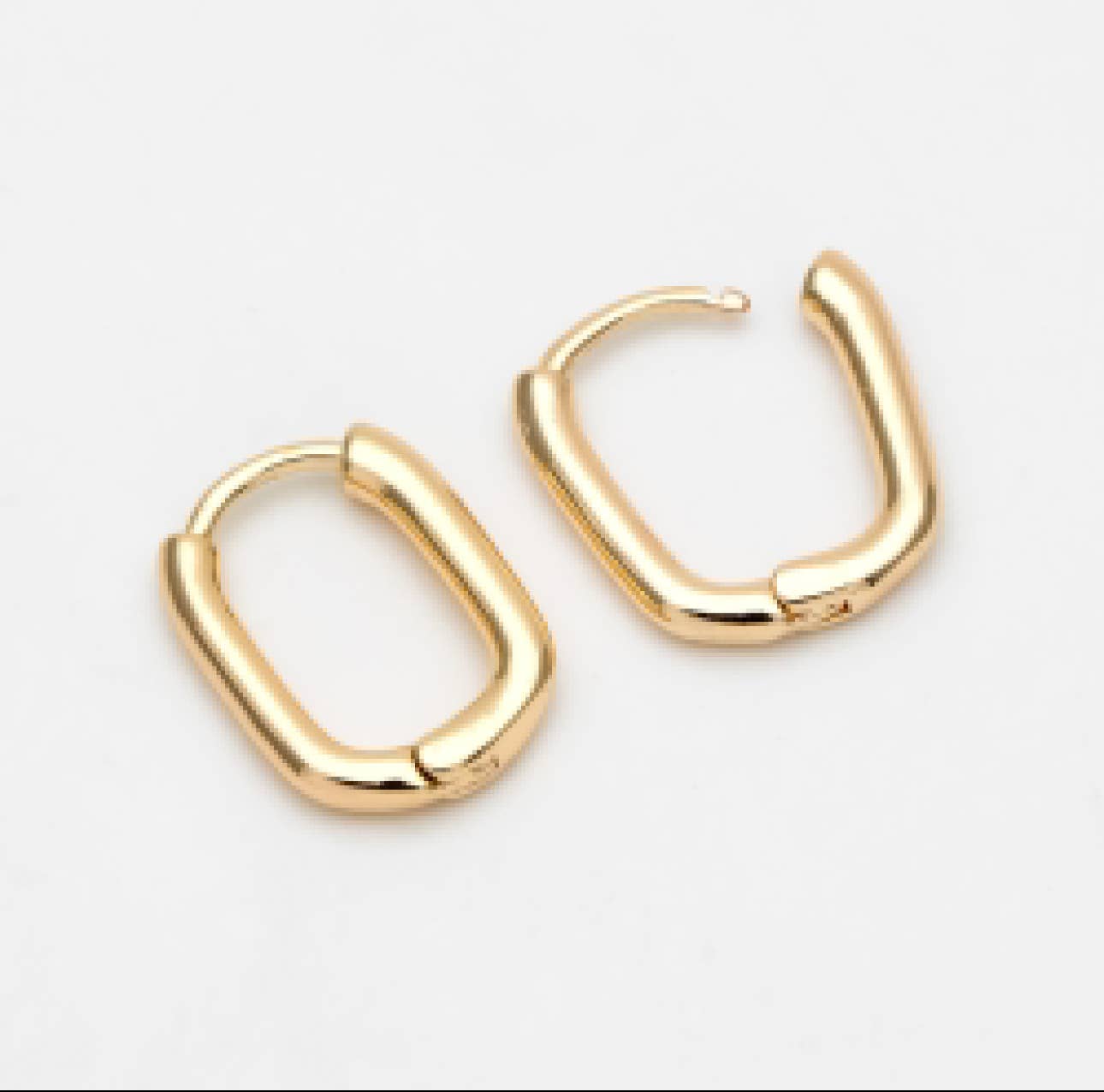 Brileigh Gold Hoop Earrings