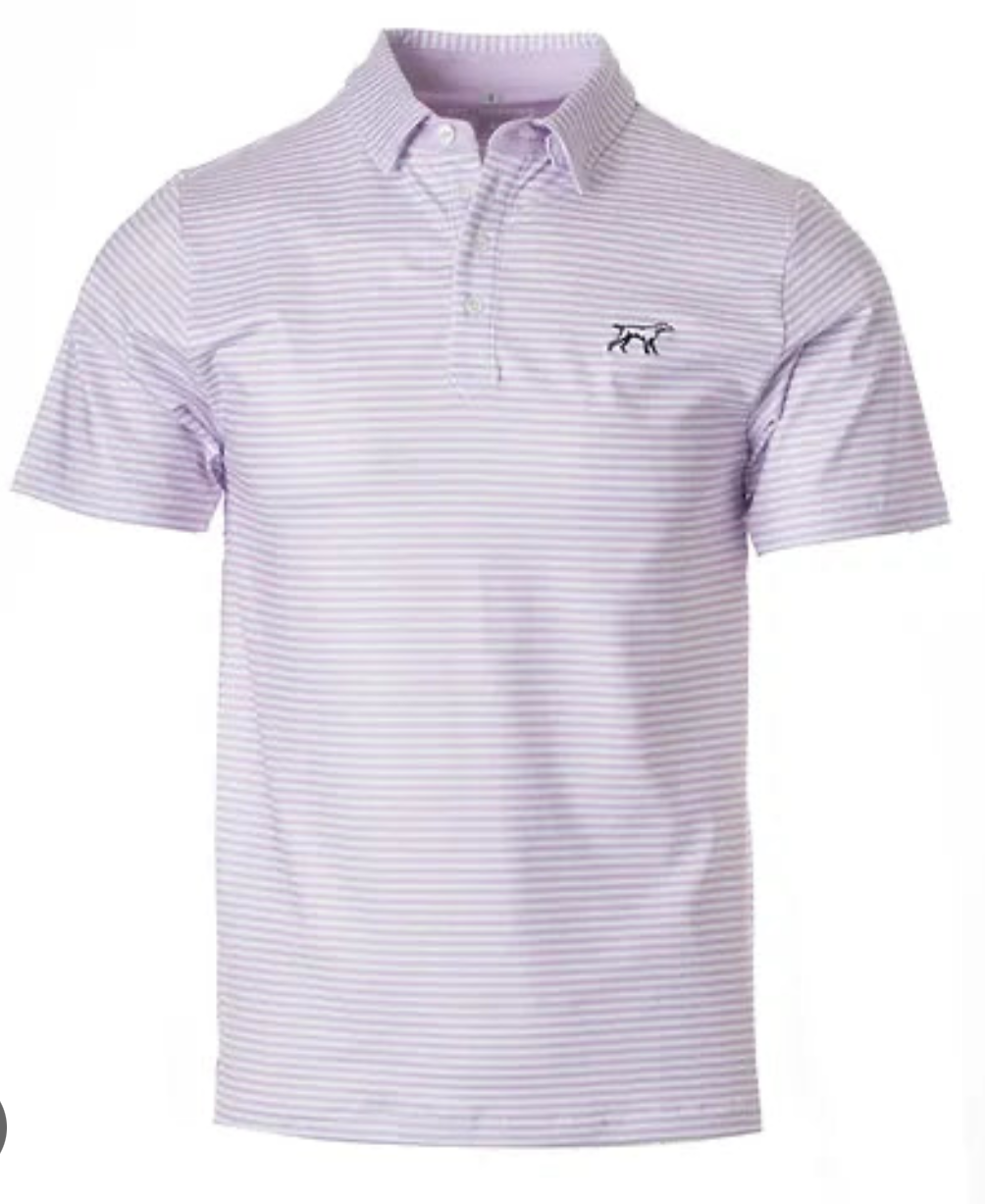 The Marshall Polo