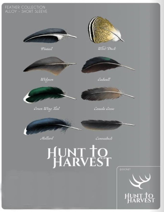 Short Sleeve Feather Collection-
Alloy or Clay