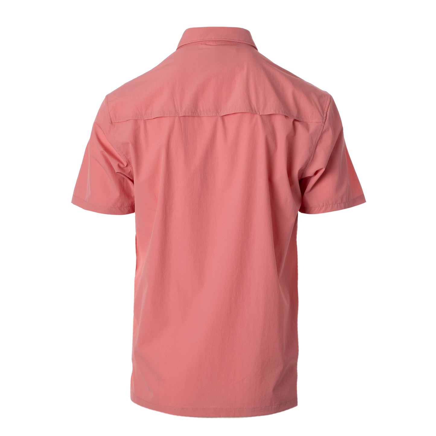 The Bolo Polo- Salmon